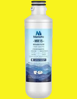 Water filter for refrigerator