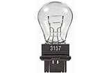 Clear incandescent bulb with black base
