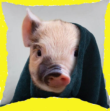 A small piglet wrapped in a dark teal towel, set against a solid bright yellow background.