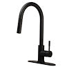Black kitchen faucet with J spout and a single handle on a white background